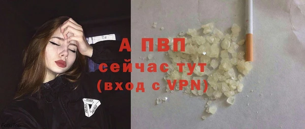 PSILOCYBIN Абаза