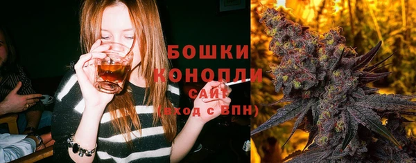PSILOCYBIN Абаза